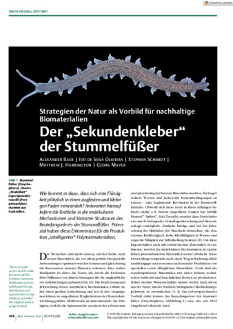 Der „Sekundenkleber“ der Stummelfüßer thumbnail