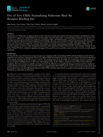 Five of Five VHHs Neutralizing Poliovirus Bind the Receptor-Binding Site thumbnail