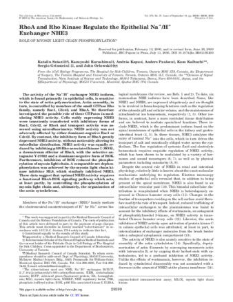 RhoA and rho kinase regulate the epithelial Na+/H+ exchanger NHE3. Role of myosin light chain phosphorylation. thumbnail