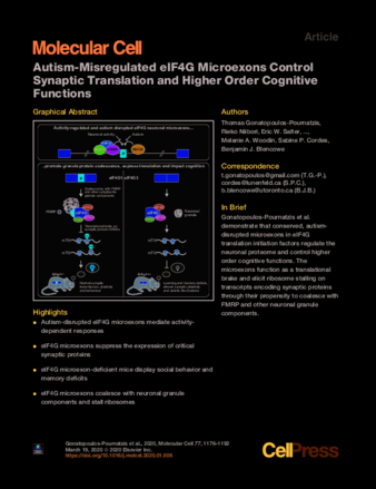 Autism-Misregulated eIF4G Microexons Control Synaptic Translation and Higher Order Cognitive Functions thumbnail