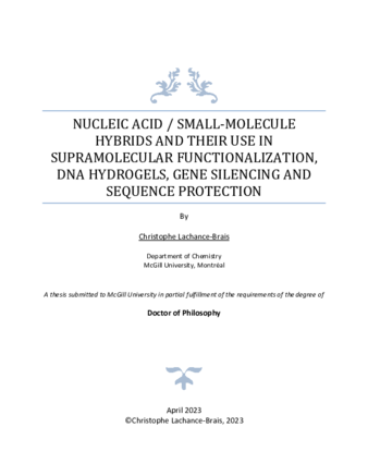 Nucleic acid / small-molecule hybrids and their use in supramolecular functionalization, DNA hydrogels, gene silencing and sequence protection thumbnail