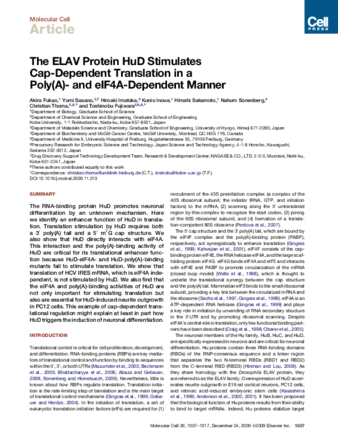 The ELAV Protein HuD Stimulates Cap-Dependent Translation in a Poly(A)- and eIF4A-Dependent Manner thumbnail