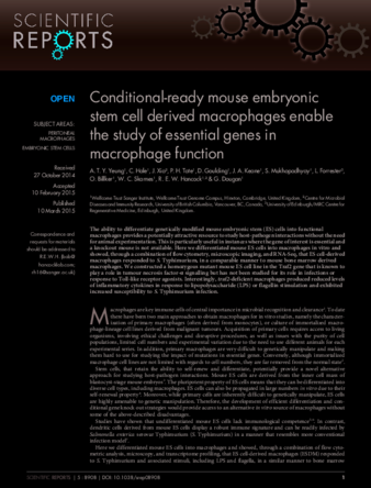 Conditional-ready mouse embryonic stem cell derived macrophages enable the study of essential genes in macrophage function thumbnail