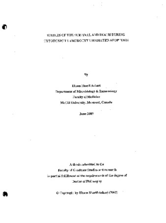 Studies of the survival and death during cytotoxic lymphocyte-mediated apoptosis thumbnail