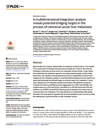 A multidimensional integration analysis reveals potential bridging targets in the process of colorectal cancer liver metastasis thumbnail