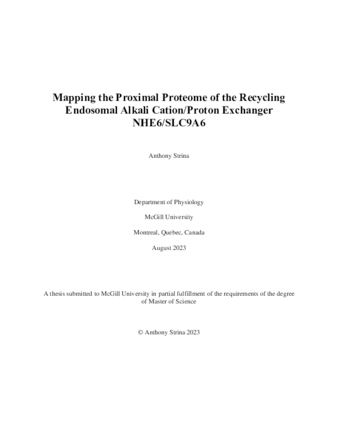 Mapping the proximal proteome of the recycling endosomal alkali cation/proton exchanger NHE6/SLC9A6 thumbnail