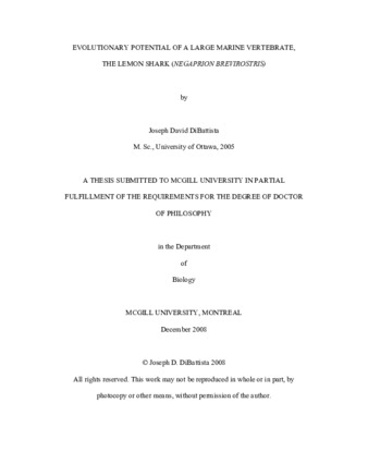 Evolutionary potential of a large marine vertebrate, the lemon shark («Negaprion brevirostris») thumbnail