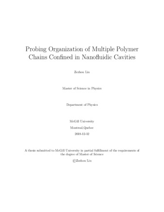 Probing organization of multiple polymer chains confined in nanofluidic cavities thumbnail