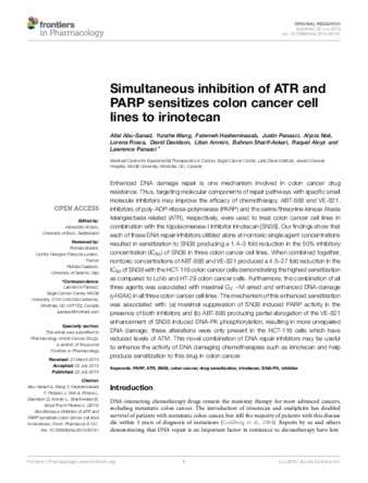Simultaneous inhibition of ATR and PARP sensitizes colon cancer cell lines to irinotecan thumbnail