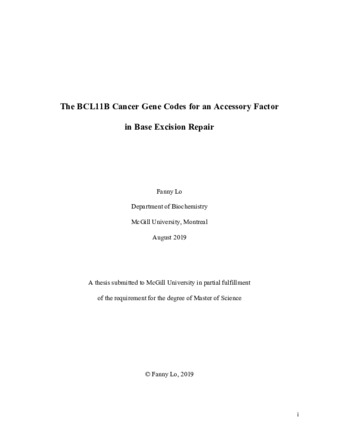 The BCL11B cancer gene codes for an accessory factor in base excision repair thumbnail