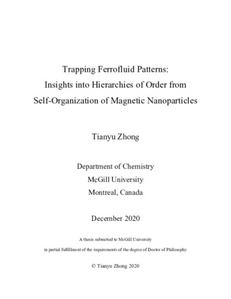 Trapping ferrofluid patterns: Insights into hierarchies of order from self-organization of magnetic nanoparticles thumbnail