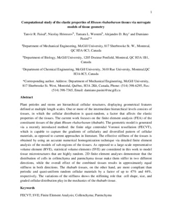 Computational study of the elastic properties of Rheum rhabarbarum tissues via surrogate models of tissue geometry thumbnail