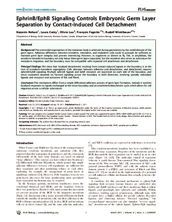 EphrinB/EphB Signaling Controls Embryonic Germ Layer Separation by Contact-Induced Cell Detachment thumbnail