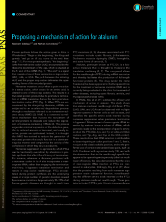 Proposing a mechanism of action for ataluren thumbnail