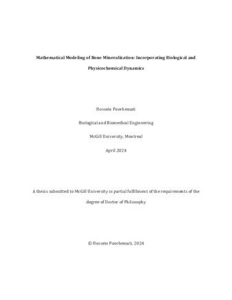 Mathematical Modeling of Bone Mineralization: Incorporating Biological and Physicochemical Dynamics thumbnail