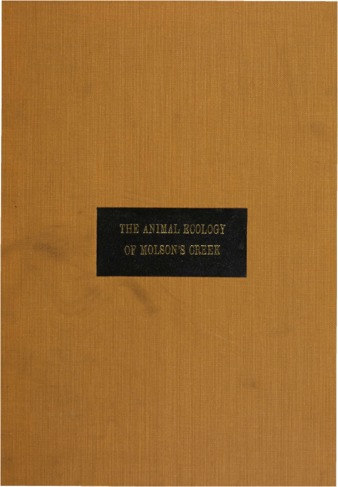 Some observations on the animal ecology of Molson’s Creek. thumbnail