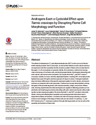 Androgens Exert a Cysticidal Effect upon Taenia crassiceps by Disrupting Flame Cell Morphology and Function thumbnail