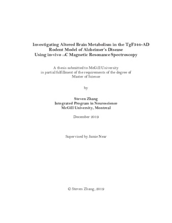 Investigating altered brain metabolism in the TgF344-AD rodent model of Alzheimer’s Disease using in-vivo 13C magnetic resonance spectroscopy thumbnail