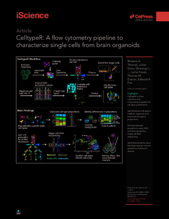 CelltypeR: A flow cytometry pipeline to characterize single cells from brain organoids thumbnail