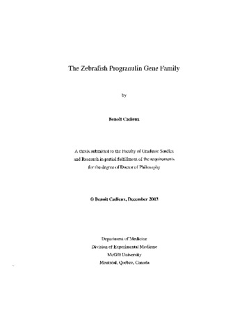 The zebrafish progranulin gene family / thumbnail