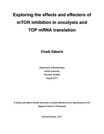 Exploring the effects and effectors of mTOR inhibition in oncolysis and TOP mRNA translation thumbnail