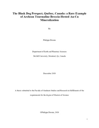 The Black Dog Prospect, Québec, Canada: a Rare Example of Archean Tourmaline Breccia-Hosted Au-Cu Mineralization thumbnail