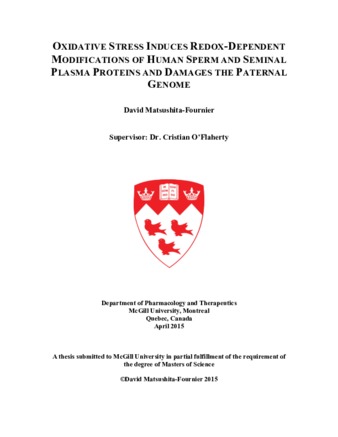 Oxidative stress induces redox-dependent modifications of human sperm and seminal plasma proteins and damages the paternal genome thumbnail