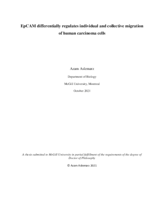 EpCAM differentially regulates individual and collective migration of human carcinoma cells thumbnail