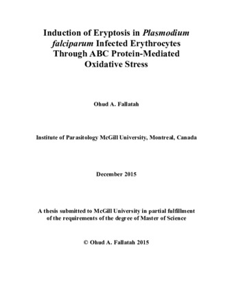 Induction of eryptosis in «Plasmodium falciparum» infected erythrocytes through ABC protein-mediated oxidative stress thumbnail
