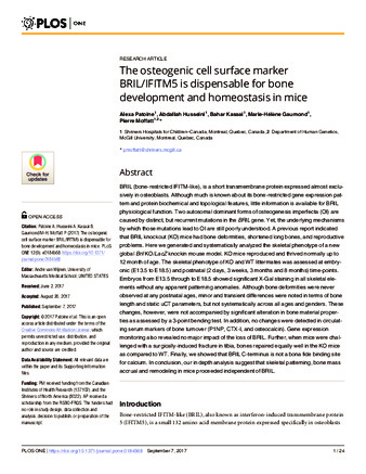 The osteogenic cell surface marker BRIL/IFITM5 is dispensable for bone development and homeostasis in mice thumbnail