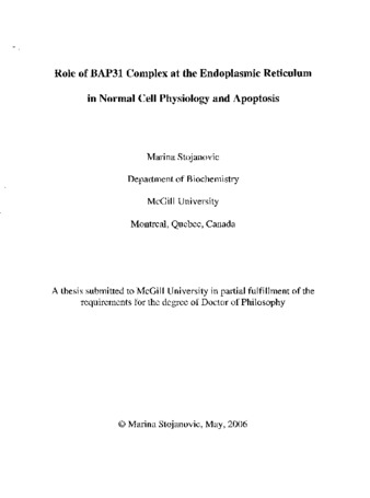 Role BAP31 complex at the endoplasmic reticulum in normal cell physiology and apoptosis thumbnail