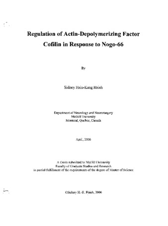Regulation of actin-depolymerizing factor cofilin in response to Nogo-66 thumbnail