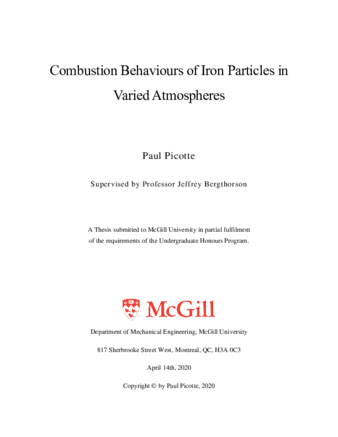 Combustion behaviours of iron particles in varied atmospheres thumbnail