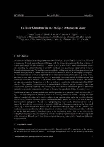 Cellular Structure in an Oblique Detonation Wave thumbnail