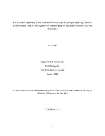 Heteromeric assembly of the human ether-a-go-go related gene (hERG) channel: a heterologous expression system for assessing type II Long QT syndrome causing mutations thumbnail