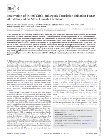 Inactivation of the mTORC1-Eukaryotic Translation Initiation Factor 4E Pathway Alters Stress Granule Formation thumbnail