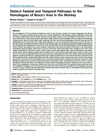 Distinct Parietal and Temporal Pathways to the Homologues of Broca’s Area in the Monkey thumbnail