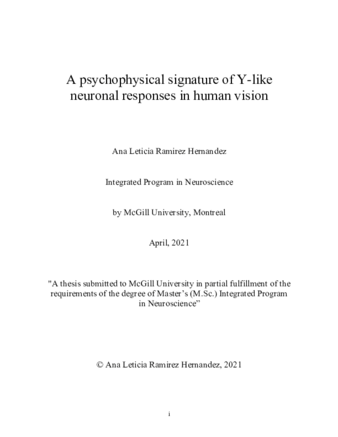 A psychophysical signature of Y-like neuronal responses in human vision thumbnail