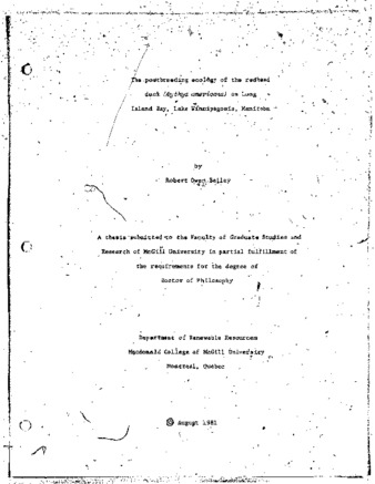 The postbreeding ecology of the redhead duck (Aythya americana) on Long Island Bay, Lake Winnipegosis, Manitoba. thumbnail