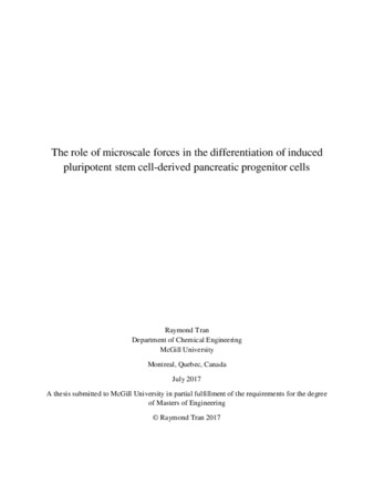 The role of microscale forces in the differeniation of induced pluripotent stem cell-derived pancreatic progenitor cells thumbnail