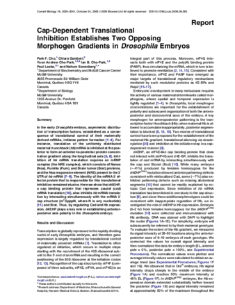 Cap-Dependent Translational Inhibition Establishes Two Opposing Morphogen Gradients in Drosophila Embryo thumbnail