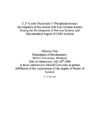 2',3'-Cyclic nucleotide 3'-phosphodiesterase : investigation of interaction with Fyn tyrosine kinase during the development of nervous system, and mitochondrial import of CNP2 isoform thumbnail