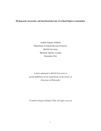 Phylogenetic, taxonomic, and functional diversity of wetland diptera communities thumbnail