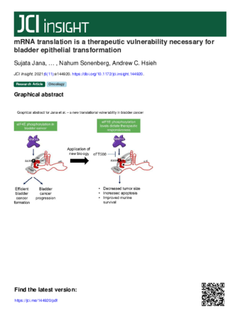 mRNA translation is a therapeutic vulnerability necessary for bladder epithelial transformation thumbnail