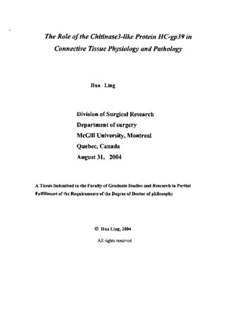 The role of the chitinase3-like protein HC-gp39 in connective tissue physiology and pathology / thumbnail