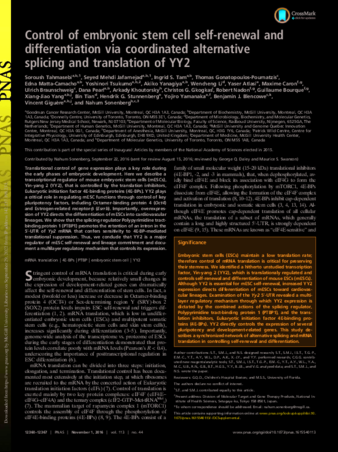 Control of embryonic stem cell self-renewal and differentiation via coordinated alternative splicing and translation of YY2 thumbnail
