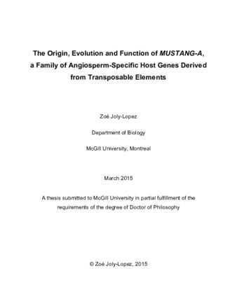 The origin, evolution and function of Mustang-A, a family of angiosperm-specific host genes derived from transposable elements thumbnail