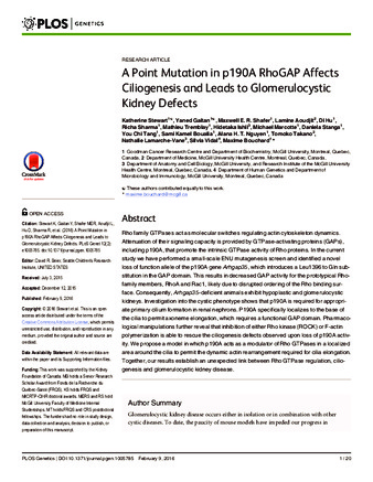 Point Mutation in p190A RhoGAP Affects Ciliogenesis and Leads to Glomerulocystic Kidney Defects thumbnail