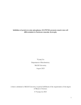 Inhibition of protein tyrosine phosphatase 1B (PTP1B) promotes muscle stem cell differentiation in Duchenne muscular dystrophy thumbnail