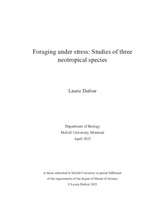 Foraging under stress: Studies of three neotropical species thumbnail